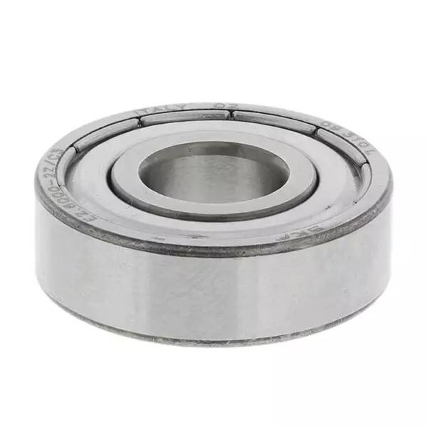 6000-2Z/C3 SKF Rulman - 1