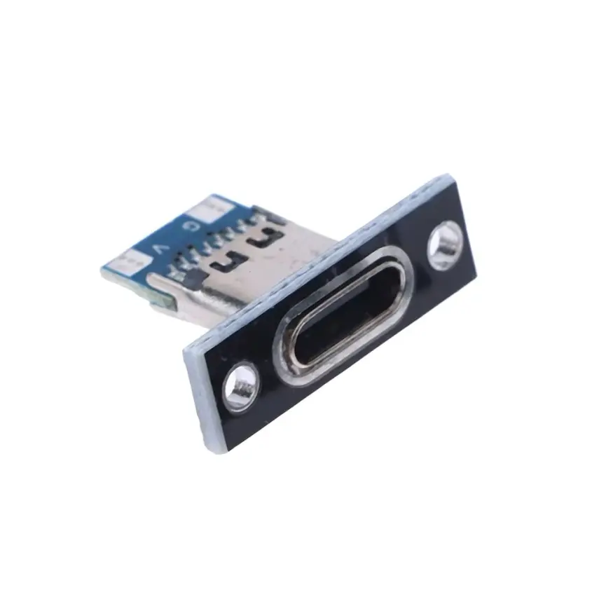 Panel Montajlı Type C Dişi Soket - 2 Pin - 1