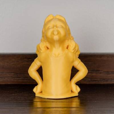 Polymaker Panchroma Satin PLA Filament Sarı - 3 data-big=